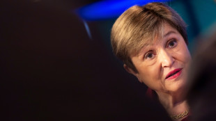 El FMI advierte que el sistema monetario no est&aacute; listo para los riesgos de la IA