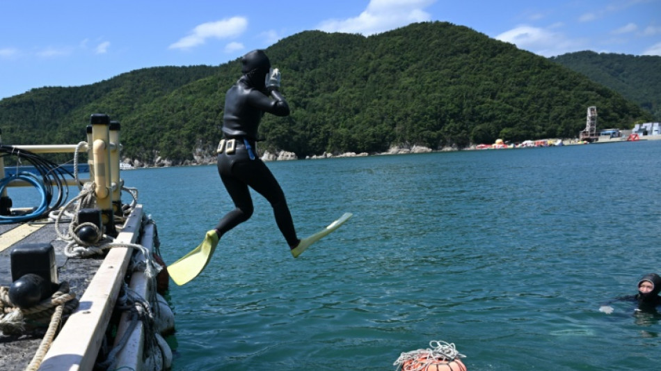 Women quit South Korea's grind for diving tradition