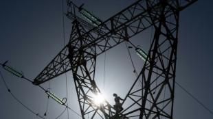 Un risque "&eacute;lev&eacute;" de tensions sur le r&eacute;seau &eacute;lectrique en janvier &agrave; cause des difficult&eacute;s du nucl&eacute;aire