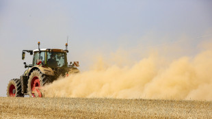 Agea, quasi 600 milioni di anticipi gi&agrave; erogati agli agricoltori