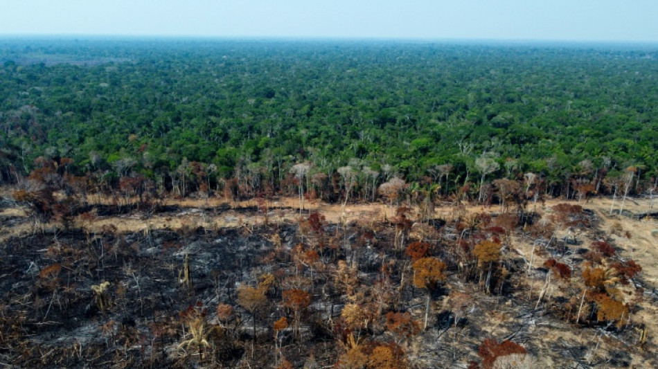 Brasilien empfängt andere Amazonasstaaten zu Gipfeltreffen