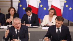 Bayrou contro Trump, 'un'ingerenza il sostegno a Le Pen'