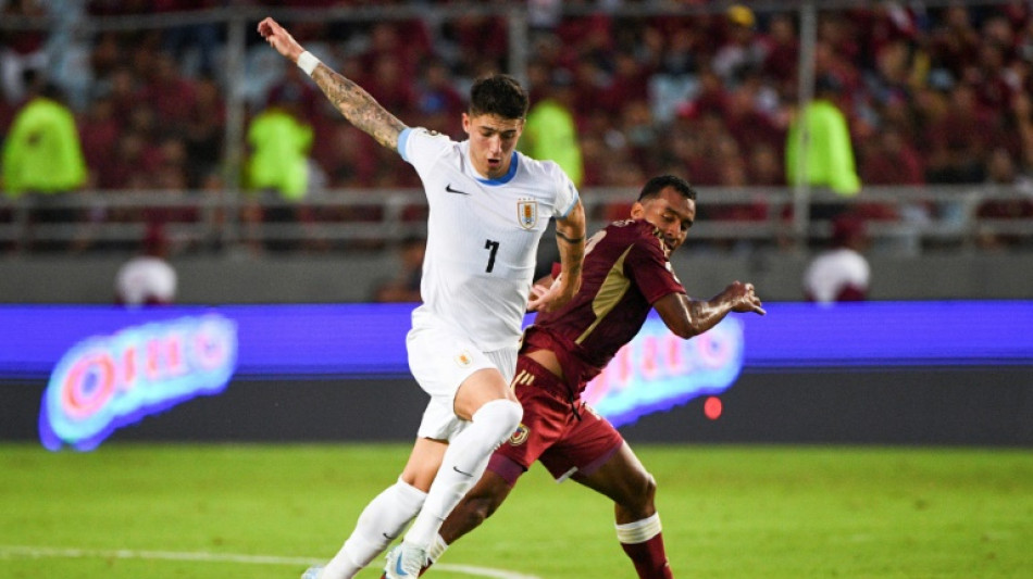 Palmeiras anuncia contrata&ccedil;&atilde;o do volante uruguaio Emiliano Mart&iacute;nez