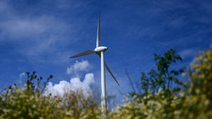 Scholz und W&uuml;st besuchen B&uuml;rgerwindpark Simmerath