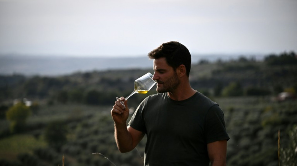 L'huile d'olive italienne s'épuise face au changement climatique