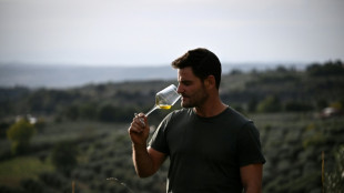 L'huile d'olive italienne s'épuise face au changement climatique