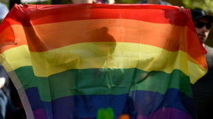 N&iacute;ger criminaliza la homosexualidad con penas de hasta 20 a&ntilde;os de c&aacute;rcel