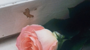 Planet Funk, il 16 gennaio il nuovo album di inediti Bloom