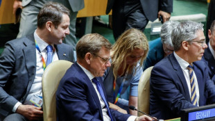 Alemania fracasa en su intento por conseguir una banca en el Consejo de Seguridad de la ONU