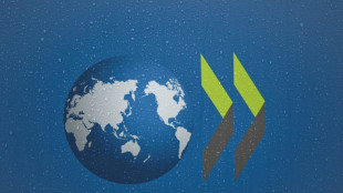 OECD-Bericht: US-Z&ouml;lle belasten Weltwirtschaft weniger als erwartet 