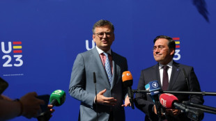 Ukraine dr&auml;ngt Berlin zu Lieferung von Taurus-Marschflugk&ouml;rpern