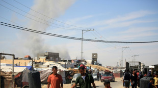 Los pa&iacute;ses mediadores urgen a Israel y Ham&aacute;s a aceptar una tregua en Gaza