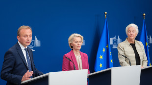La Commissione Ue ha risposto all'Italia sulla clausola di salvaguardia