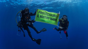Greenpeace,'il trattato Onu sugli oceani in vigore senza Italia'