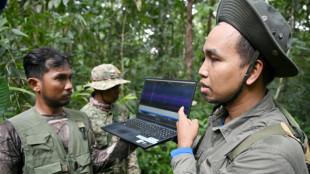 Secret cameras, mics and AI reveal rare Cambodia wildlife