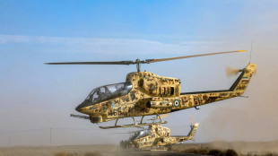 L'Iran lancia esercitazioni militari 'di fronte a minacce'