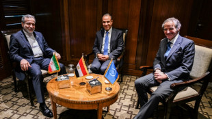 Nucléaire iranien: Téhéran exclut tout accord visant à le priver de ses "activités pacifiques" 
