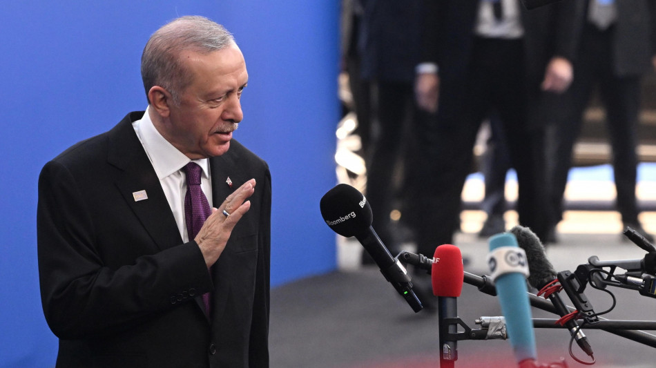 Erdogan, 'interverremo se sar&agrave; minata l'unit&agrave; della Siria'