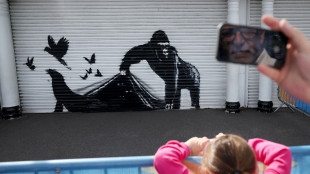 Banksy, la nona opera &egrave; un gorilla allo zoo di Londra