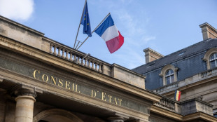 Le Conseil d'&Eacute;tat ouvre la voie &agrave; un retour de la chasse aux alouettes avec des filets dans le Sud-Ouest
