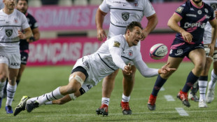 Toulouse's Elstadt 'hungry' for Springboks return before La Rochelle final rerun