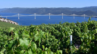 Croatia opens bridge around Bosnia to get to Dubrovnik