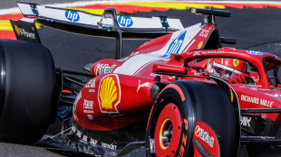 Leclerc "un buon giro, non me l'aspettavo"