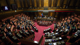 Ok del Senato al decreto su polizze anti calamità, è legge
