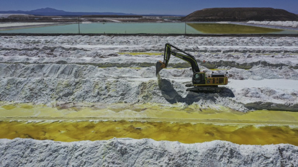 Chile informa que 26 salares podr&aacute;n ser explotados por privados para producir litio