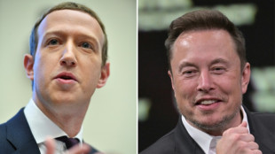 Donos do Twitter e da Meta se 'desafiam' para uma luta