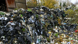 Trafic de déchets entre la Belgique et la France: jusqu'à cinq ans de prison