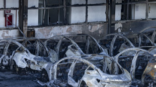 Tesla incendiate, informativa a pm antiterrorismo
