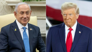 Trump l&auml;dt Netanjahu ins Wei&szlig;e Haus ein - Treffen f&uuml;r kommende Woche geplant