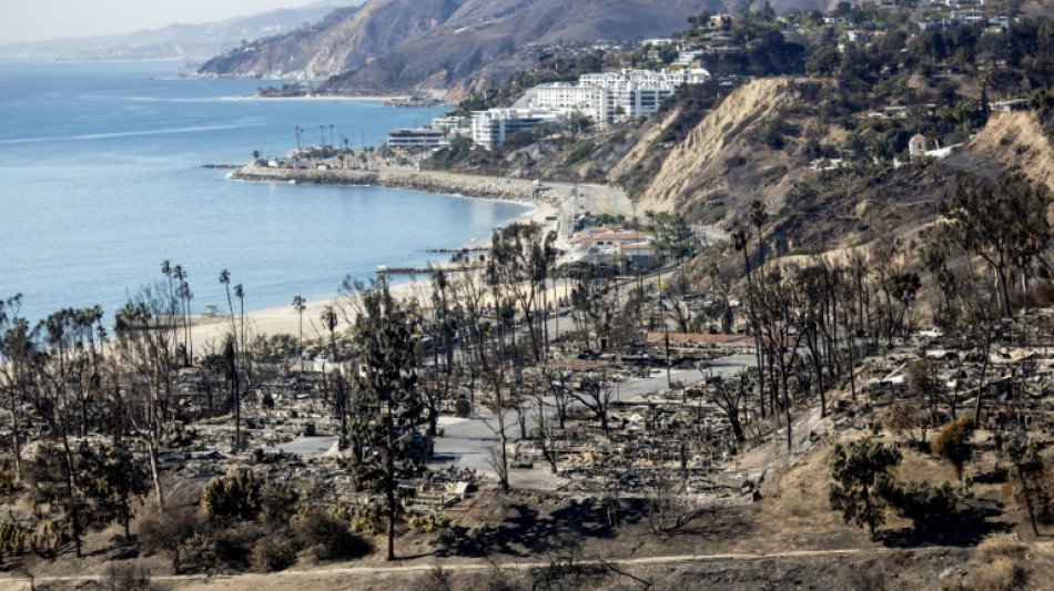 LA fire suspect had grudge against wealthy: prosecutors
