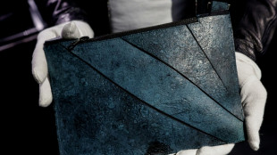 First leather bag from T-Rex cells to be auctioned in Paris