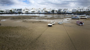 Detenido en Canarias un presunto miembro de un clan criminal irland&eacute;s