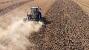 Meno parenti pi&ugrave; innovazione, l'agricoltura non &egrave; pi&ugrave; familiare