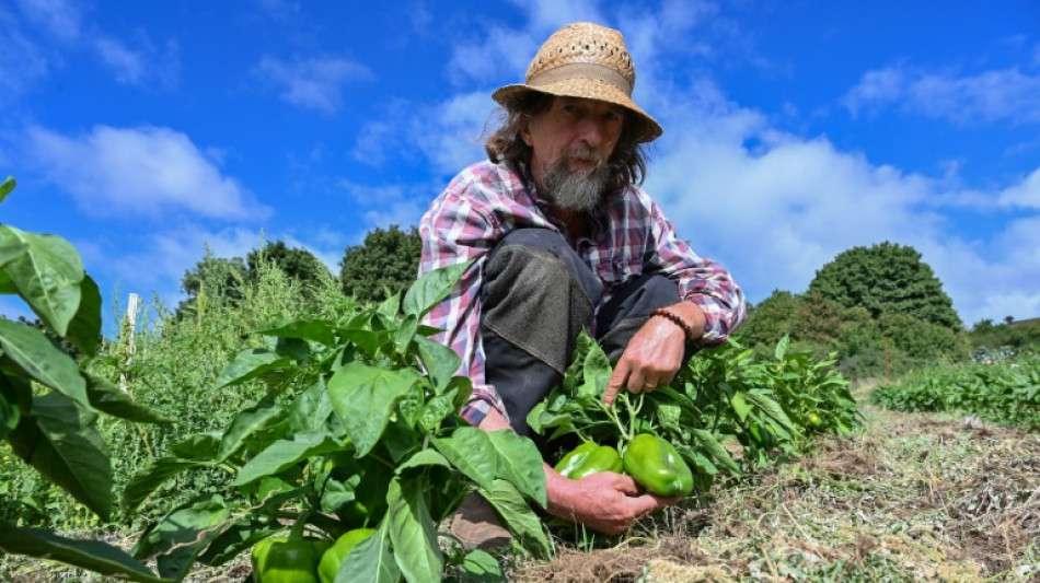 Des agriculteurs du sud de la France sur de nouvelles pistes pour contrer la s&eacute;cheresse
