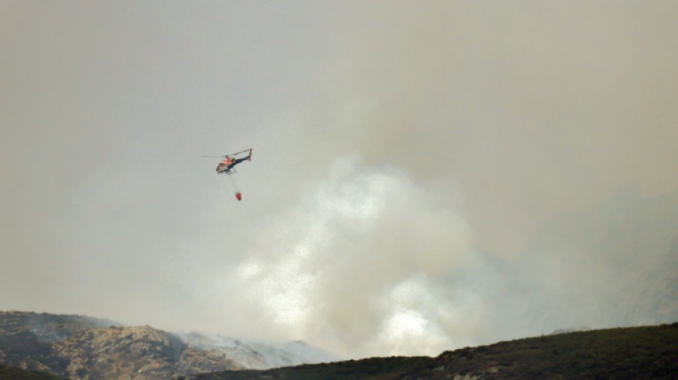 Spain's deadly wildfires ignite political blame game