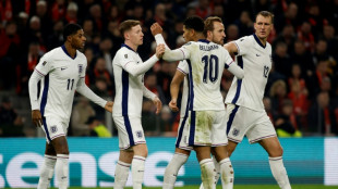 England ready for World Cup after perfect campaign