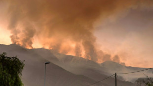 Incendio en la isla espa&ntilde;ola de Tenerife sigue sin control