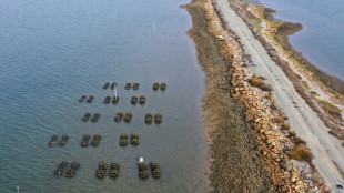 A San Diego, des r&eacute;cifs d'hu&icirc;tres contre la mont&eacute;e des eaux