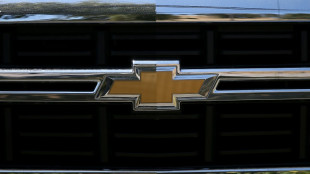 GM unveils electric SUV aimed at middle class