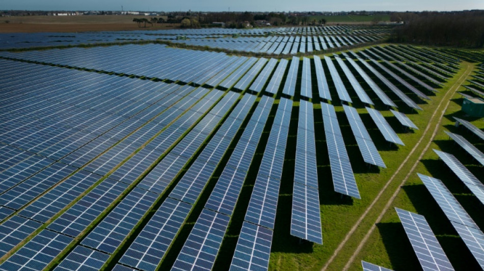 Baerbock und Habeck optimistisch bei Energiewende - &Ouml;l-Industrie widerspricht
