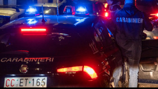 Scende per soccorrere un animale, uccisa da un'auto pirata