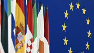EU-Spitzen beraten in Granada &uuml;ber Erweiterung und Migration