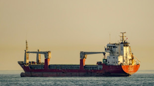"Nous perdons espoir": la d&eacute;tresse de marins indiens bloqu&eacute;s au large d'Istanbul
