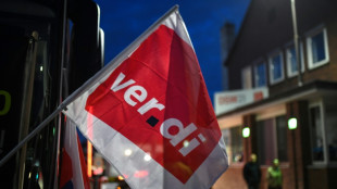 Verdi kritisiert Lindners Entlastungspl&auml;ne und pocht auf &Uuml;bergewinnsteuer