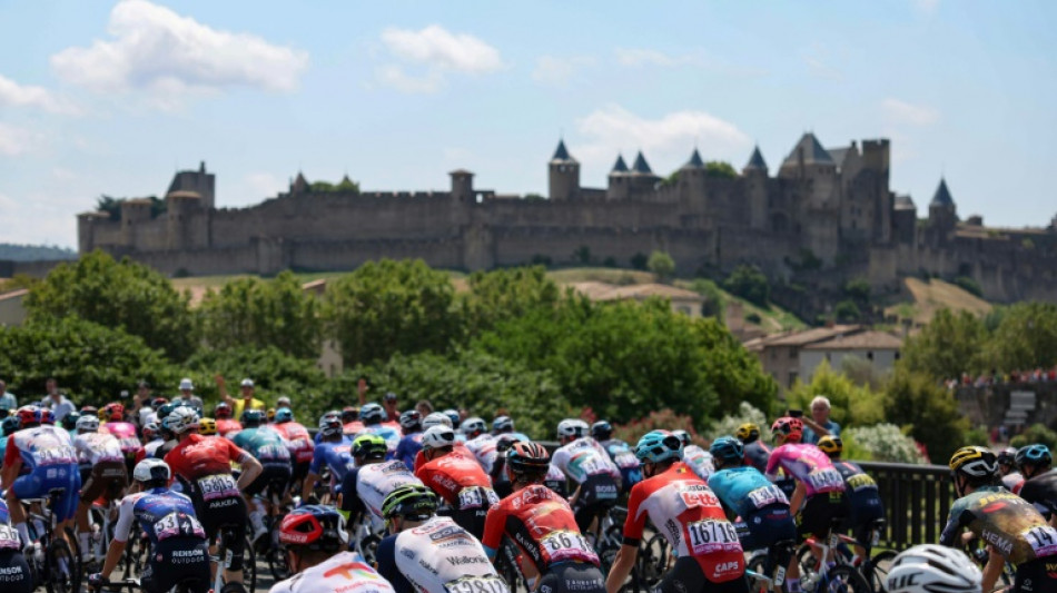 Tour de France: en route vers les Pyr&eacute;n&eacute;es