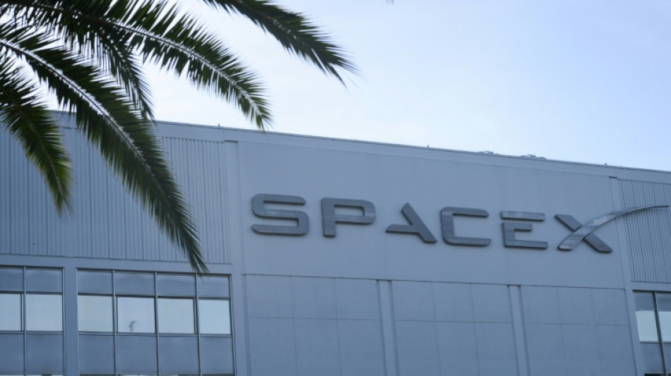 Comment miser sur SpaceX en Bourse revient &agrave; faire tapis sur Elon Musk